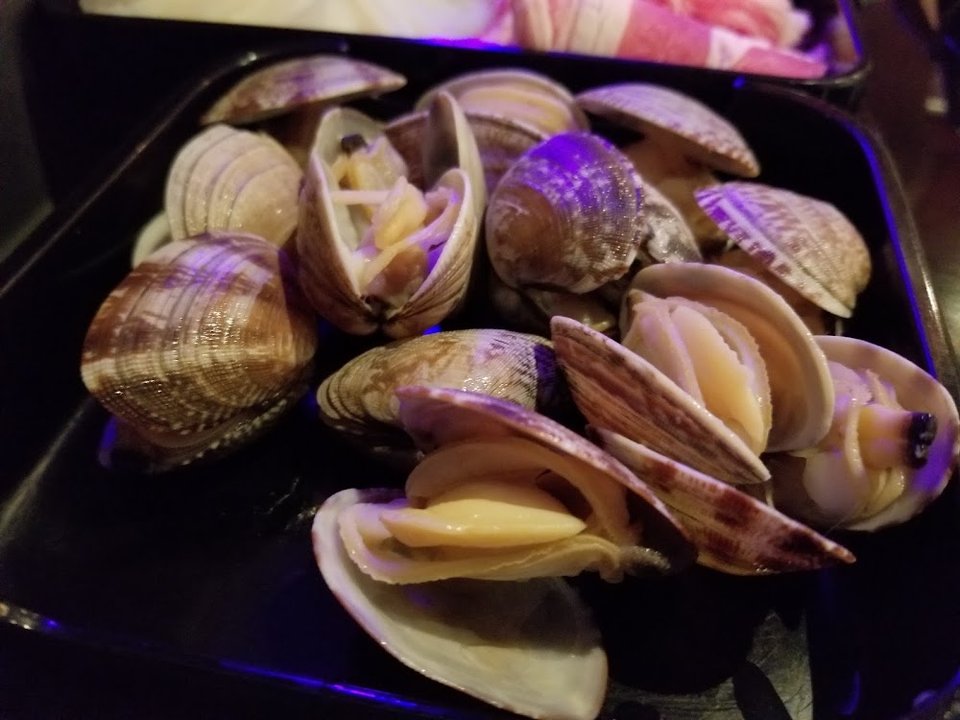 Clam